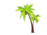 kerala packers and movers