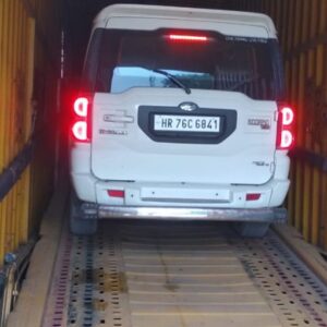 Car Parcel