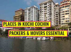places in kochi movers service essential