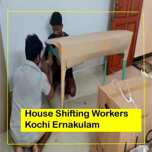 house shifting workers